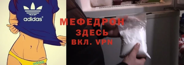 дживик Няндома