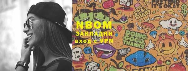 дживик Няндома