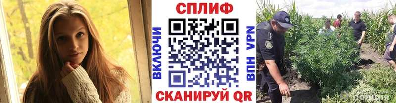 Шишки марихуана марихуана  Купить где  Псков 